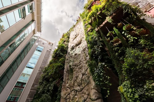 Vue en perspective d'un jardin vertical en milieu urbain, où les murs de pierre et la végétation luxuriante contrastent avec