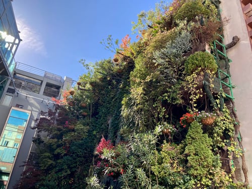 Un mur vertical impressionnant recouvert de végétation dans un environnement urbain, où les fleurs et les plantes poussent