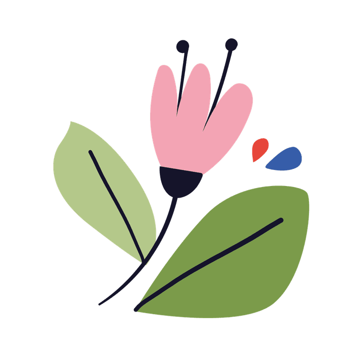 Conception écologique