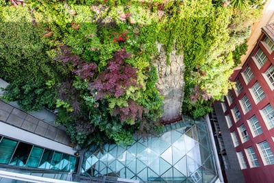 Hanging garden tour · Madrid Hotel Week 2026