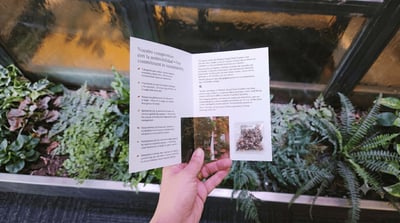 De notre jardin au vôtre : célébrons la Journée mondiale de l'environnement à Inhala Hotel Garden