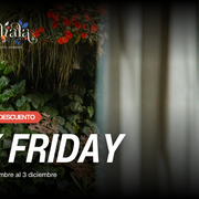 Horizontal   black friday 2025