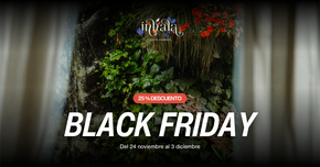 Horizontal   black friday 2025