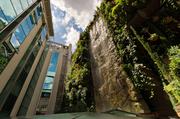 Jardin Colgante